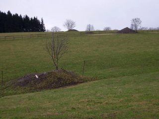 Slavkovice