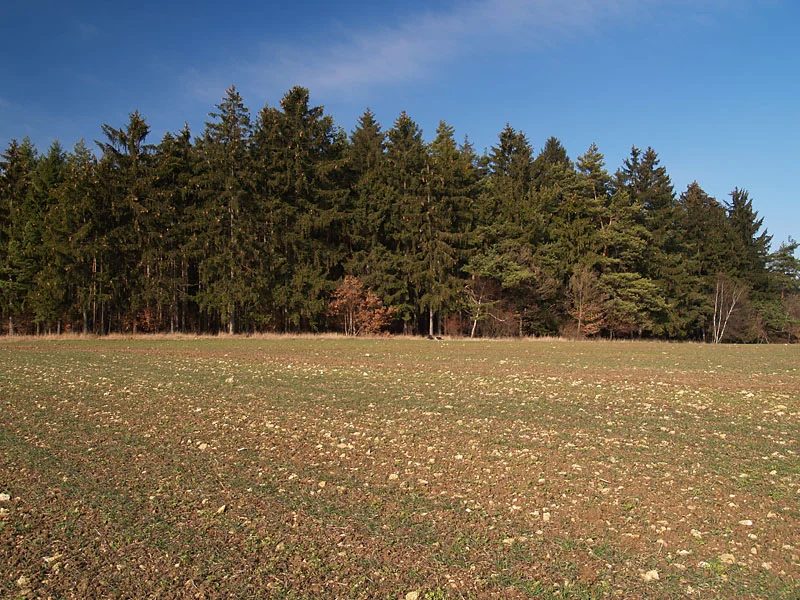 Mineralogická lokalita Smrček, Czech Republic