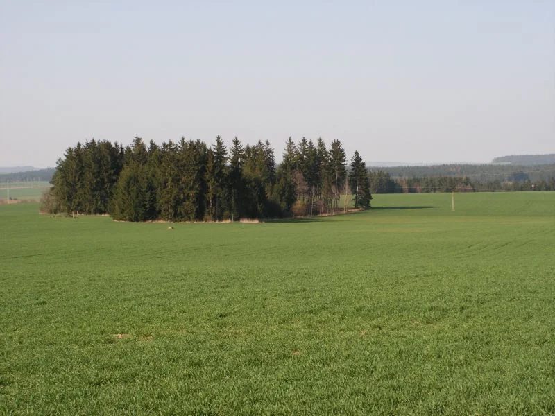 Mineralogická lokalita Suky, Czech Republic