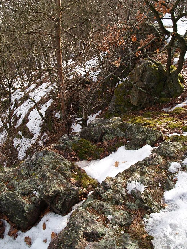 Mineralogická lokalita Tišnov, Květnice, Malá skála, Czech Republic