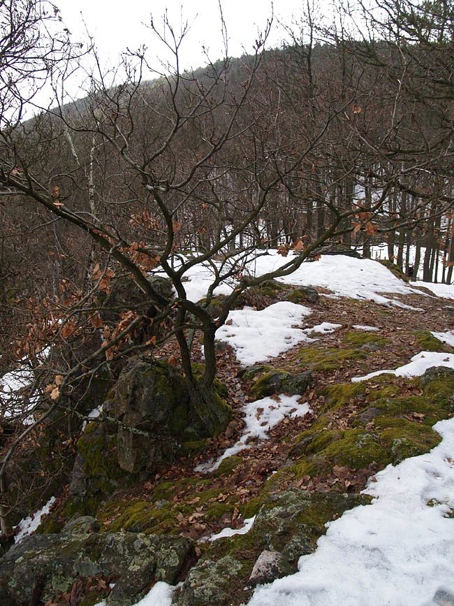 Mineralogická lokalita Tišnov, Květnice, Malá skála, Czech Republic