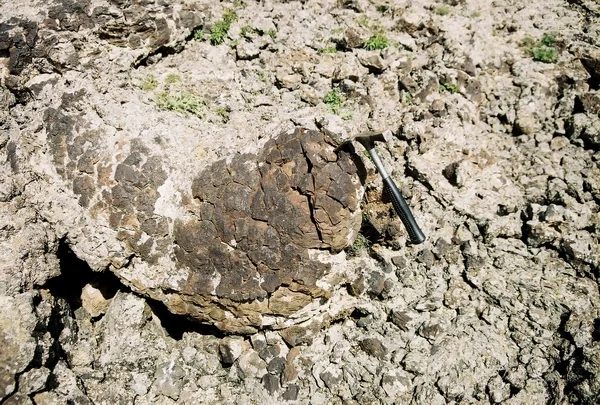 Mineralogická lokalita Tsagan Nur, Mongolia