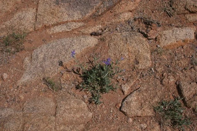 Mineralogická lokalita Tugrik, Mongolia