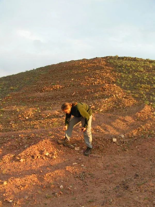 Mineralogická lokalita Ulugei Chid, Mongolia