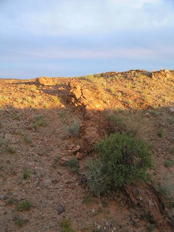 Mineralogická lokalita Ulugei Chid, Mongolia