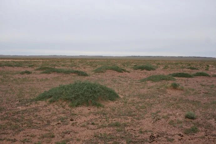 Mineralogická lokalita Ulugei Chid, Mongolia