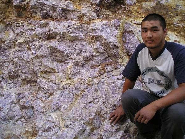 Mineralogická lokalita Uvsu, Mongolia