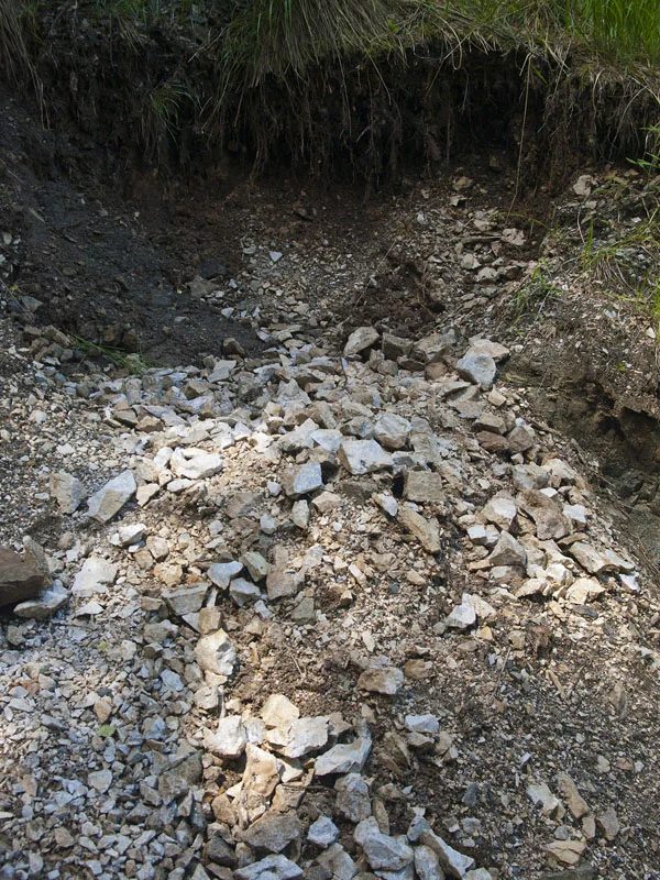 Mineralogická lokalita Věžná I, Czech Republic