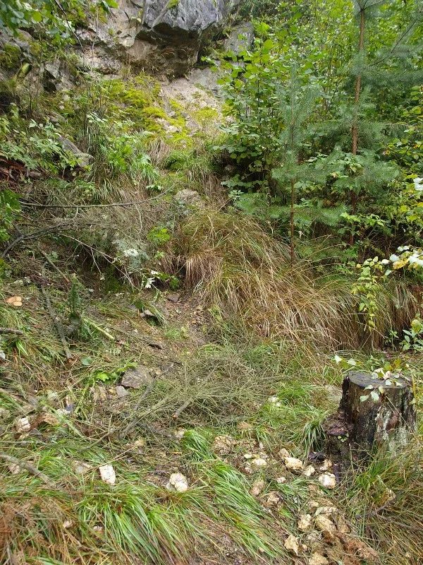 Mineralogická lokalita Věžná II, Czech Republic