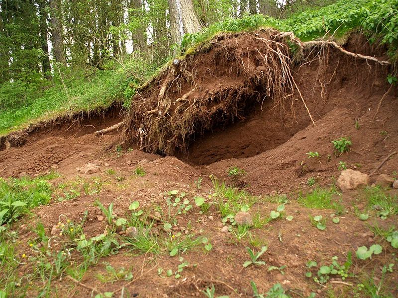 Mineralogická lokalita Vlčí hora u Černošína, Czech Republic