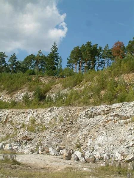 Mineralogická lokalita Vyšný, Czech Republic