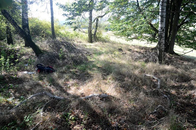 Mineralogická lokalita Vysoká u Havlíčkova Brodu, Czech Republic