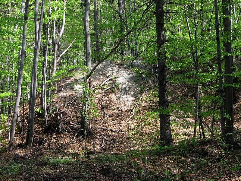 Mineralogická lokalita Zlatá Baňa, Slovakia