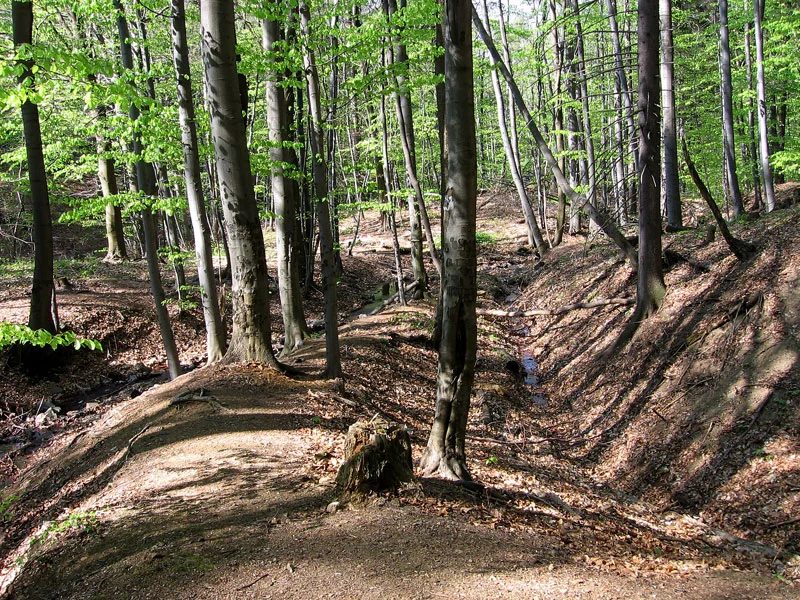 Mineralogická lokalita Zlatá Baňa, Slovakia