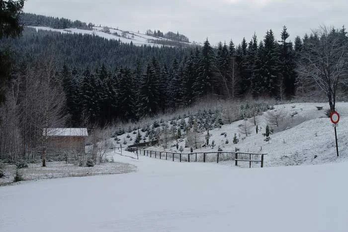 Mineralogická lokalita Zlaté Hory, Czech Republic