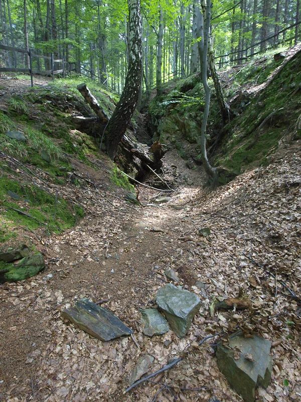 Mineralogická lokalita Zlatý Chlum u Jeseníku, Czech Republic