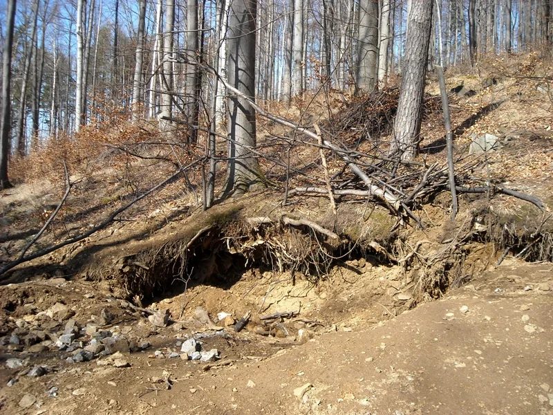Mineralogická lokalita Žulová, Boží hora, Czech Republic