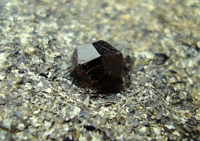 Fotografie minerálu Almandin z lokality Zlatý Chlum u Jeseníku, Czech Republic