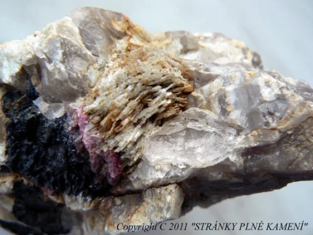 Fotografie minerálů Albit (var. cleavelandit), Elbait (var. rubelit), Křemen (var. záhněda), Skoryl z lokality Dolní Rožínka - U koupaliště, Czech Republic