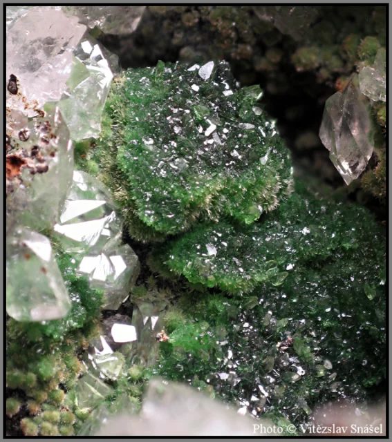 Fotografie minerálu Konichalcit z lokality Ojuela Mine, Mexico