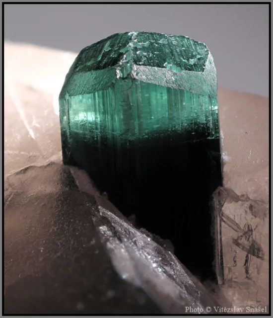 Fotografie minerálu Elbait (var. verdelit) z lokality Shengus, Haramosh Mts., Skardu District, Gilgit-Baltistan, Pakistan
