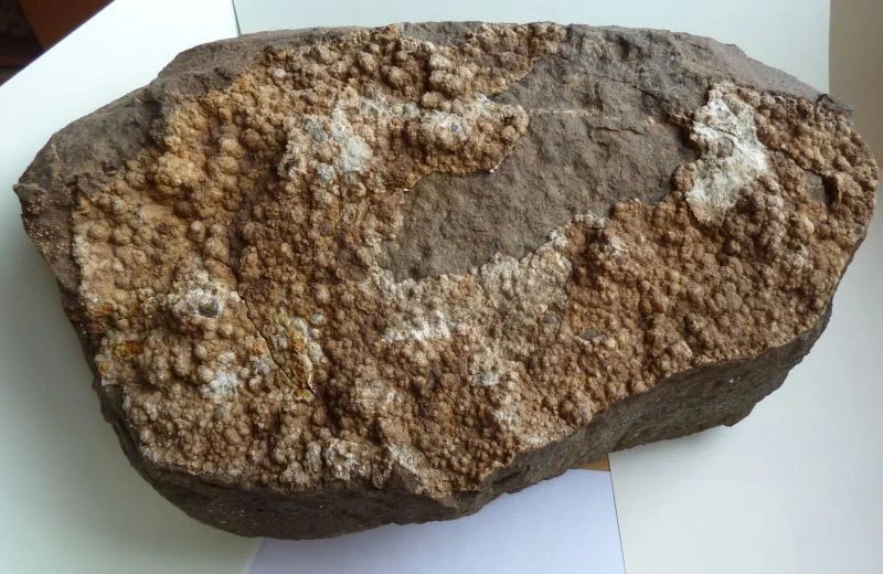 Fotografie minerálu Křemen (var. chalcedon) z lokality Petřkovická hůrka, Czech Republic