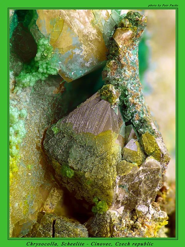 Fotografie minerálů Chryzokol, Scheelit z lokality Cínovec, Czech Republic