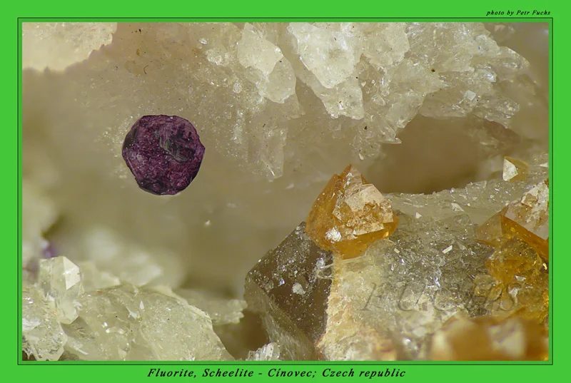 Fotografie minerálů Fluorit, Scheelit z lokality Cínovec, Czech Republic