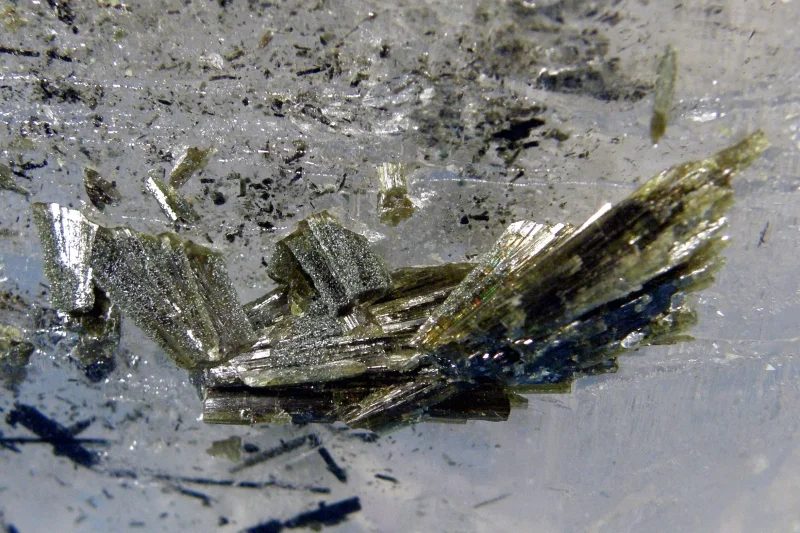 Fotografie minerálu Epidot z lokality Wedretta di Sissone, Italy