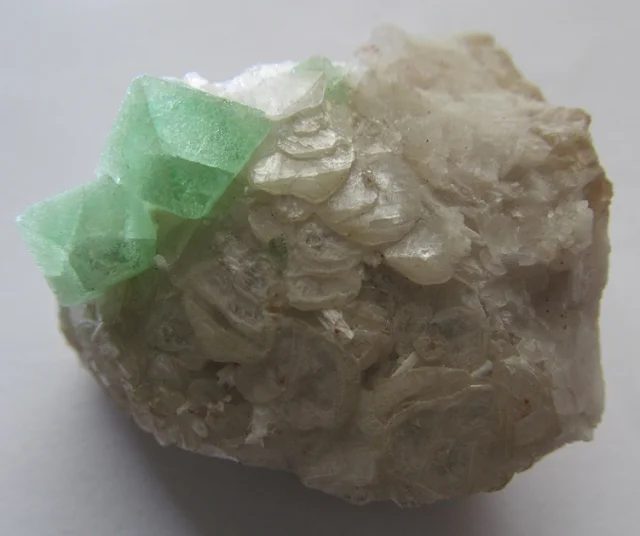 Fotografie minerálu Fluorit z lokality Litice nad Orlicí, Czech Republic