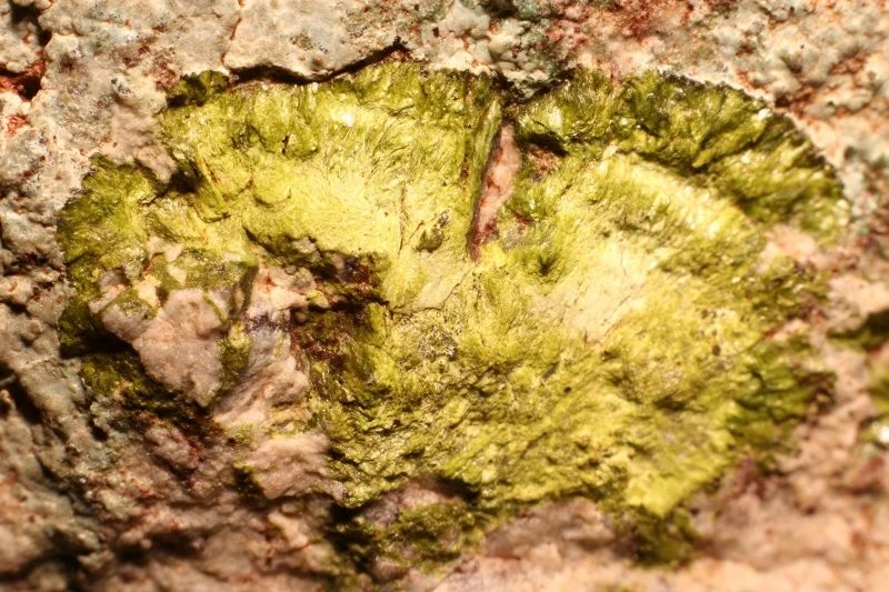 Fotografie minerálu Vésigneit z lokality Vrančice, Czech Republic
