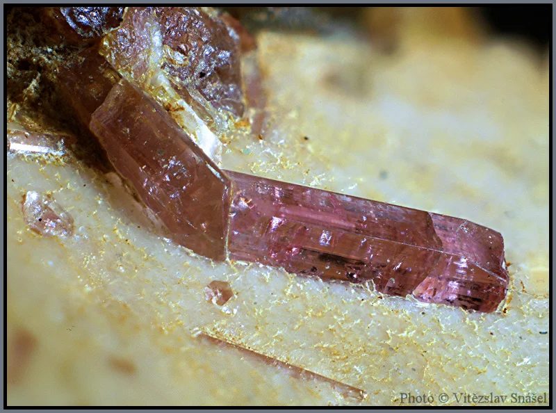 Fotografie minerálu Elbait (var. rubelit) z lokality Řečice, Czech Republic
