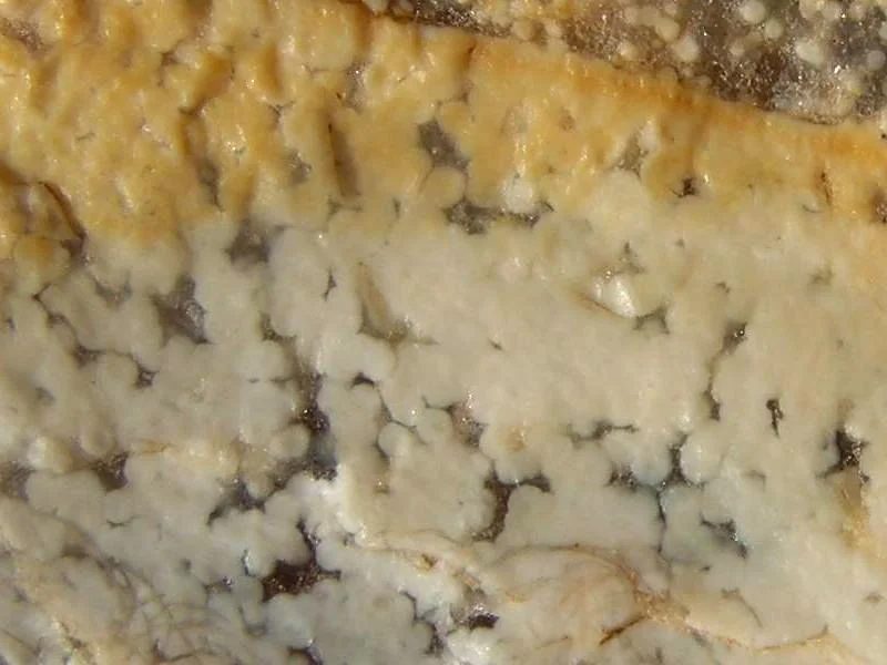 Fotografie minerálu Křemen (var. chalcedon) z lokality Fulnek - Děrné, Czech Republic