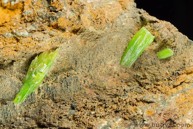 Fotografie minerálu Pyromorfit z lokality Komárovice, Czech Republic