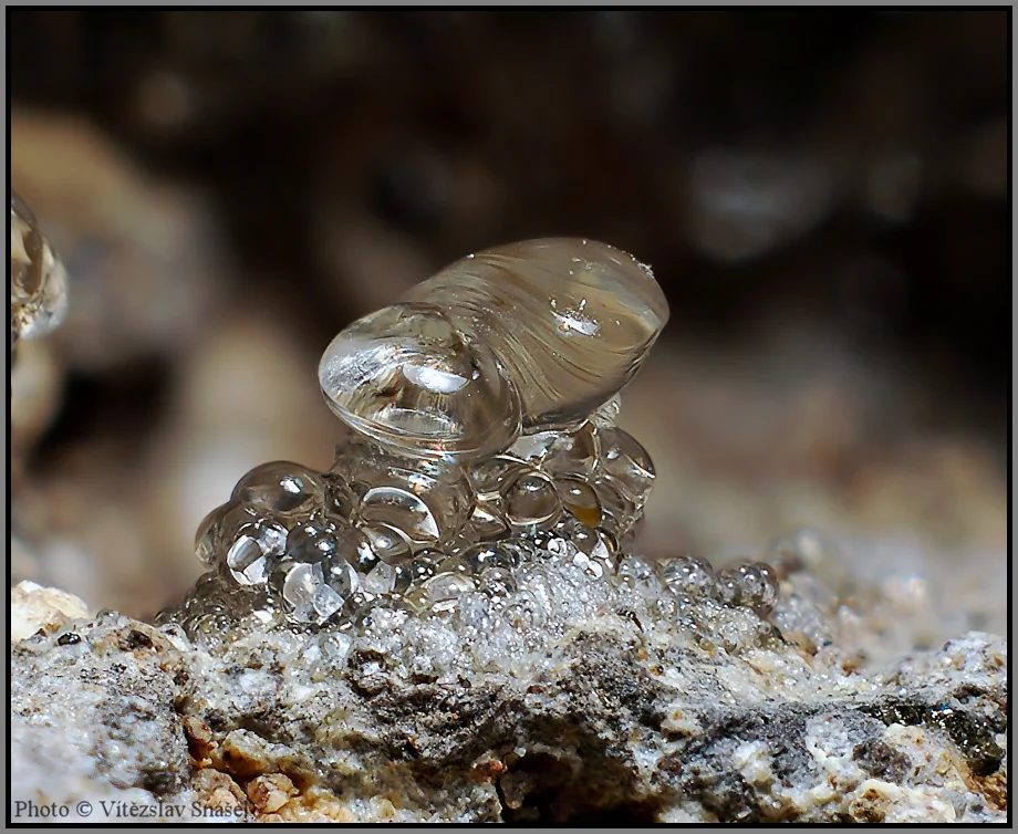 Fotografie minerálu Opál (var. hyalit) z lokality Valeč, Czech Republic