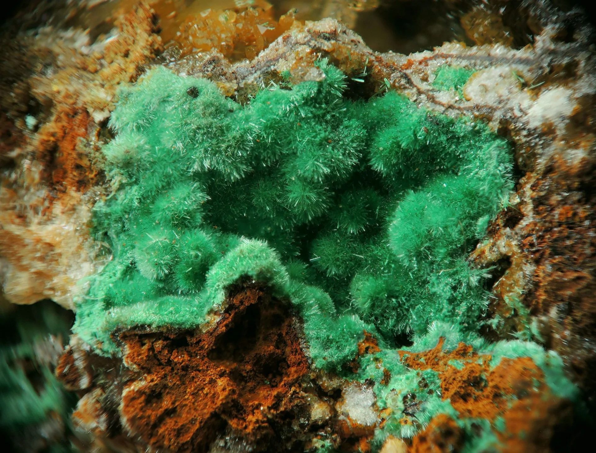 Fotografie minerálu Malachit z lokality Borovec, Czech Republic