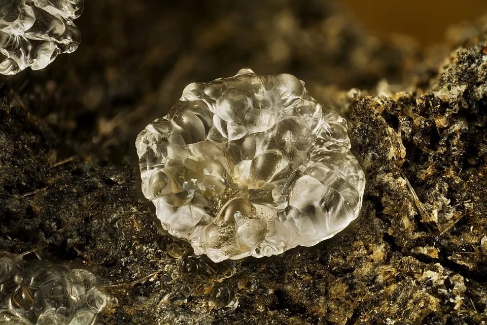 Fotografie minerálu Opál (var. hyalit) z lokality Caux, France