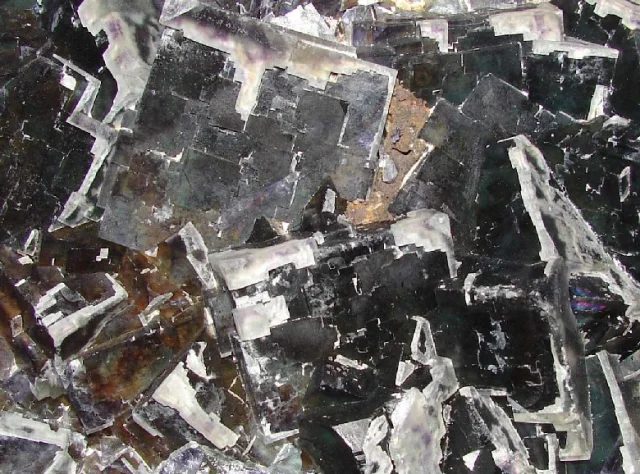 Fotografie minerálu Fluorit z lokality Budjgar, Mongolia
