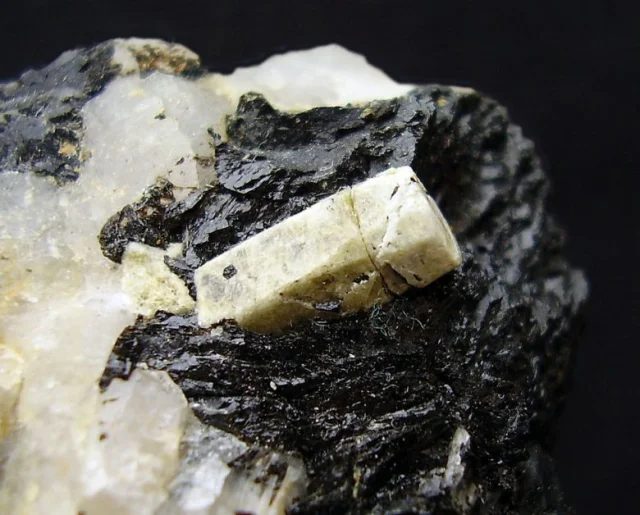 Fotografie minerálu Fluorapatit z lokality Horní Bory, Czech Republic