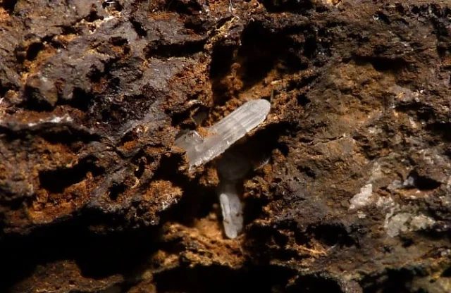 Fotografie minerálu Ceruzit z lokality Nová Ves u Rýmařova, Czech Republic