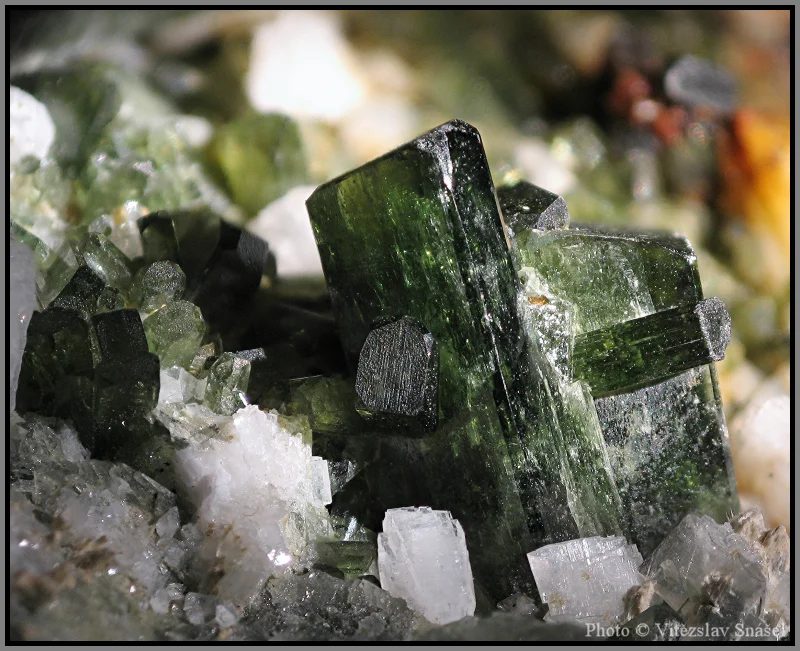 Fotografie minerálů Albit, Diopsid z lokality Tormiq Valley, Haramosh Mts., Skardu District, Gilgit-Baltistan, Pakistan