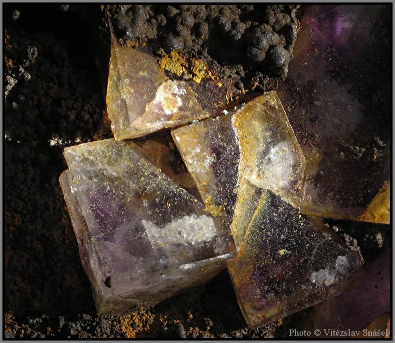 Fotografie minerálu Fluorit z lokality Budjgar, Mongolia