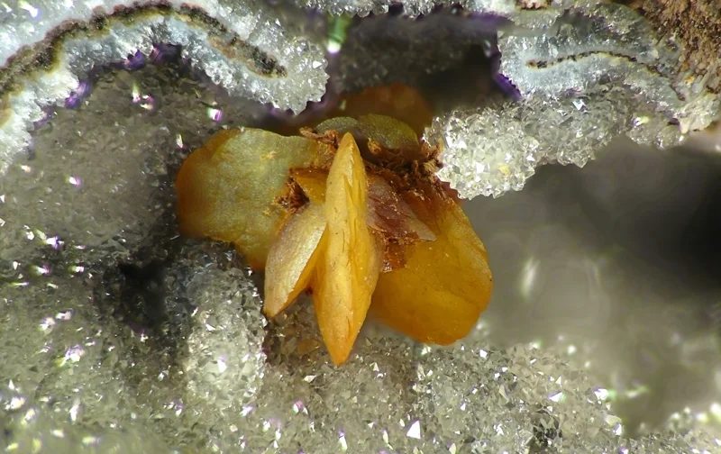 Fotografie minerálu Siderit z lokality Bílina, Czech Republic