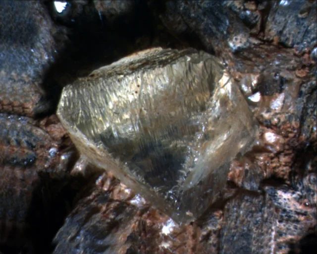Fotografie minerálu Topaz z lokality Krásno, Czech Republic