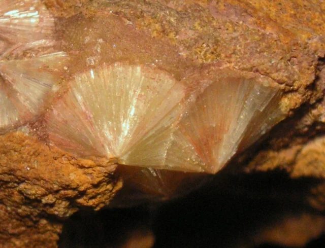 Fotografie minerálu Wavellit z lokality Třenice, Czech Republic