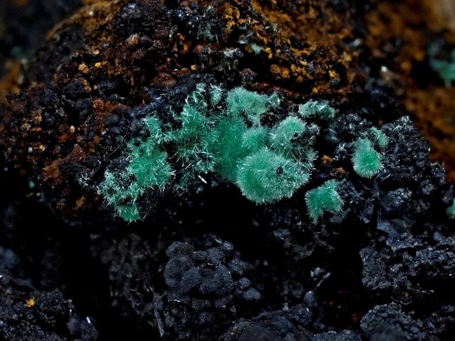 Fotografie minerálu Aurichalcit z lokality Zlaté Hory, Czech Republic
