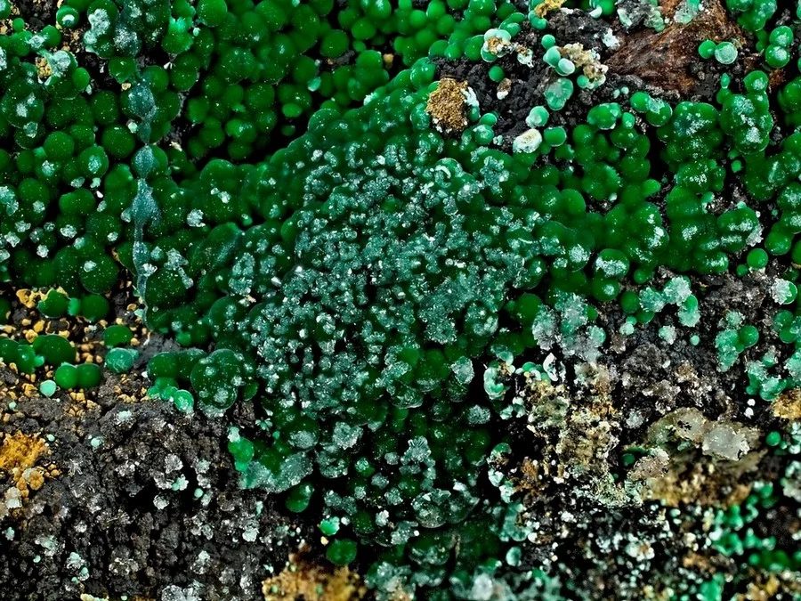 Fotografie minerálu Malachit z lokality Zlaté Hory, Czech Republic
