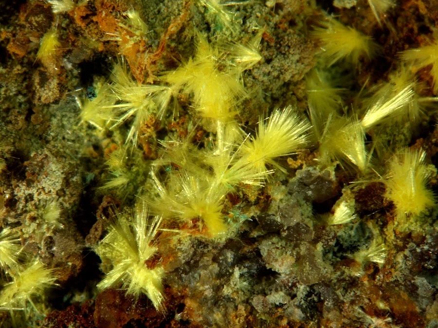 Fotografie minerálu Uranofán z lokality Zálesí, Czech Republic