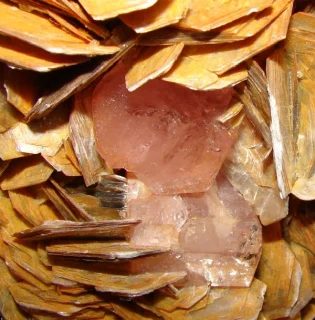 Fotografie minerálů Fluorapatit, Muskovit z lokality Shigar District, Gilgit-Baltistan, Pakistan