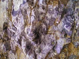Fotografie minerálu Fluorit z lokality Hutag Ull Ord, Mongolia